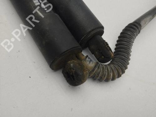 Tailgate lift support TESLA MODEL S (5YJS) 85 | BP40232759C138 - Image 4