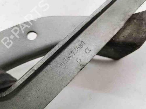 Hinge/Door check strap PEUGEOT 307 Break (3E) 2.0 HDI 90 | BP28870400C146 