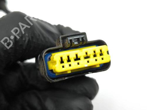 Wiring harness NISSAN X-TRAIL III (T32_, T32R, T32RR) 1.6 dCi ALL MODE 4x4-i (NT32) | BP28877885E16 