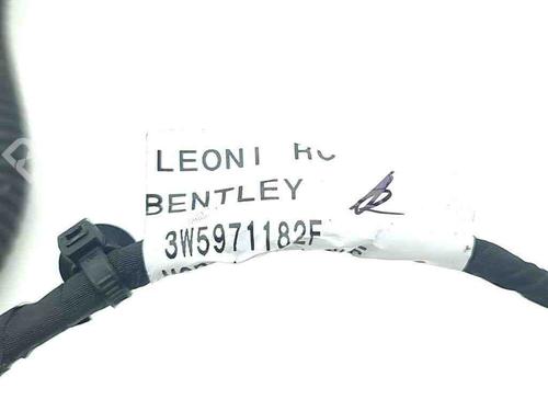 Wiring harness BENTLEY CONTINENTAL FLYING SPUR (3W_) 6.0 | BP28883426E16 