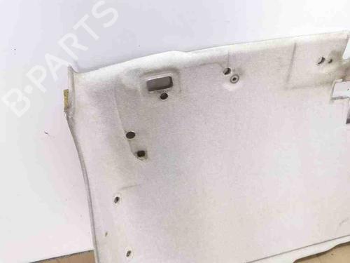 Interior roof FIAT DUCATO Van (250_) 150 Multijet 2,3 D | BP29054394I12