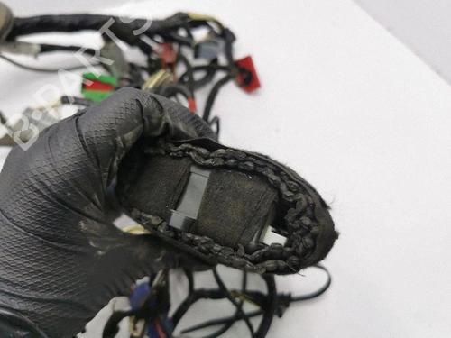 Wiring harness AIXAM CITY 0.4 | BP40209368E16 - Image 6
