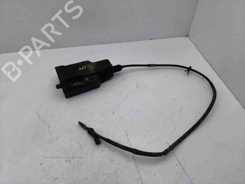 Elektronisk modul OPEL ANTARA A (L07) 2.2 CDTi (163 hp) 28896075