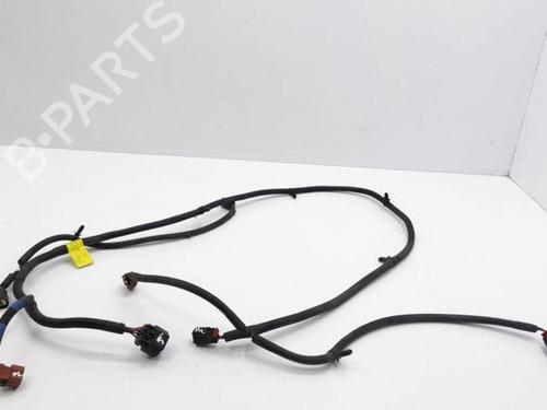 Elektronische module OPEL ANTARA A (L07) 2.2 CDTi (163 hp) 28847855
