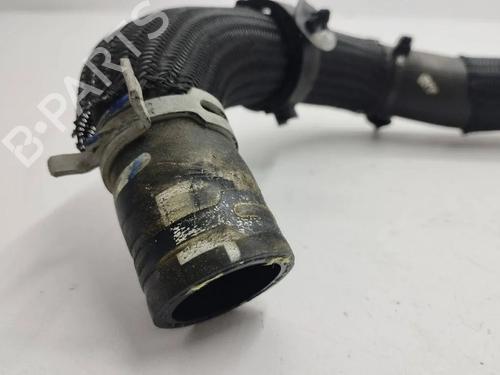 Pipe NISSAN JUKE (F16_) DIG-T 117 | BP36103122M125 - Image 3