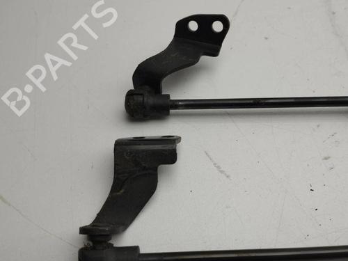 Tailgate lift support CHEVROLET CAPTIVA (C100, C140) 2.0 D 4WD | BP28892271C138 