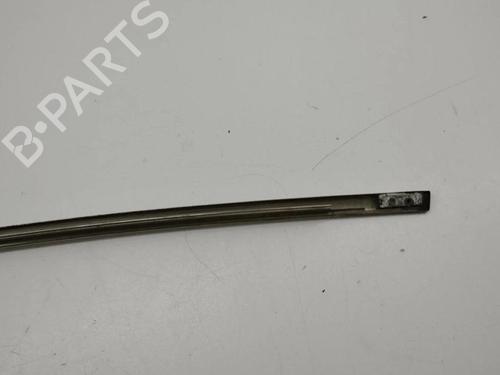 Door moulding trim BENTLEY CONTINENTAL FLYING SPUR (3W_) 6.0 | BP28898577C150 