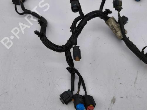 Wiring harness FORD GALAXY III (CK) 2.0 TDCi | BP28901292E16 