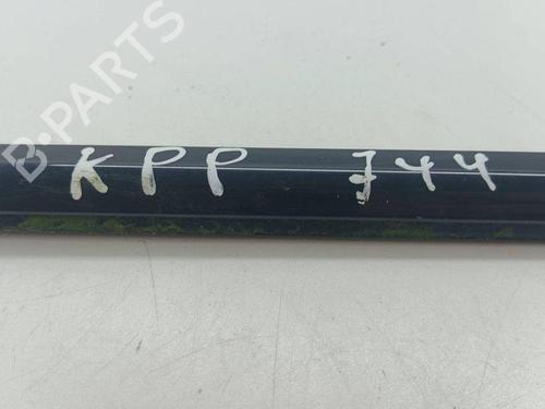 Door moulding trim BMW X5 (E70) xDrive 30 d | BP28898008C150 