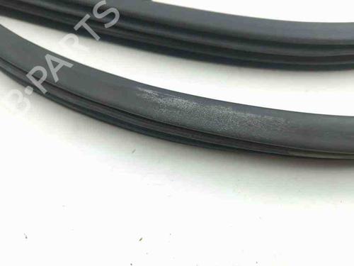 Gummiliste MASERATI QUATTROPORTE V 4.2 | BP28907051C142 
