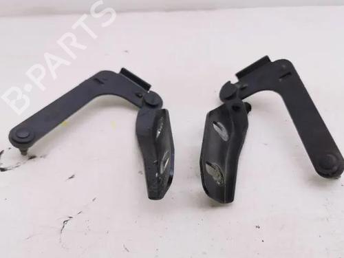 Hinge/Door check strap FORD C-MAX (DM2) 2.0 TDCi | BP28843112C146 