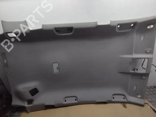Interiør taket TOYOTA RAV 4 III (_A3_) 2.2 D 4WD (ALA30_, ALA30R) (177 hp) 28852008