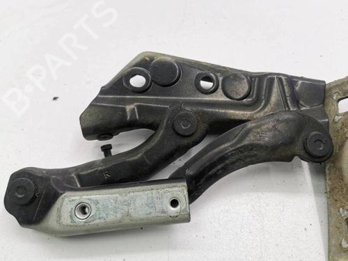 Hinge/Door check strap MERCEDES-BENZ B-CLASS Sports Tourer (W245) B 200 TURBO (245.234) | BP28876433C146 