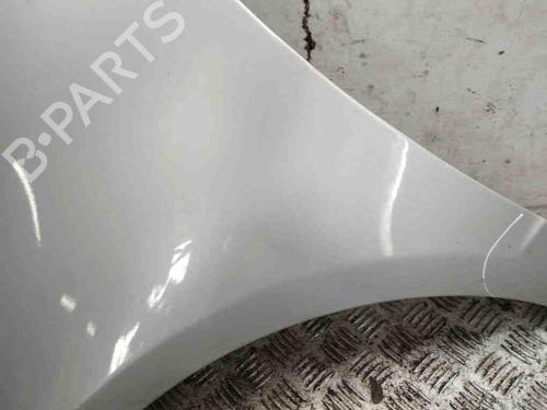 Left front fenders MERCEDES-BENZ A-CLASS (W169) A 180 CDI (169.007, 169.307) | BP28902043C41