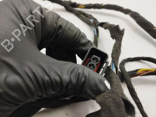 Wiring harness BMW X5 (E53) 3.0 d | BP36179988E16 - Image 3