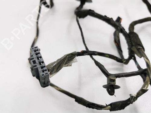Wiring harness PEUGEOT 407 Coupe (6C_) 2.0 HDi | BP28842085E16 