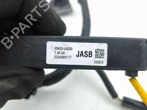 Wiring harness HYUNDAI KONA (OS, OSE, OSI) EV | BP29878745E16