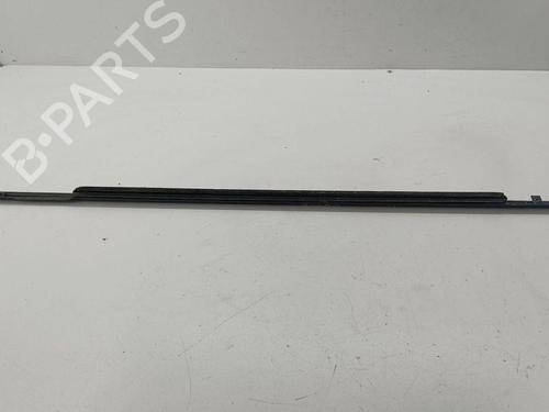 Door moulding trim NISSAN X-TRAIL II (T31) 2.0 dCi 4x4 | BP28890321C150 