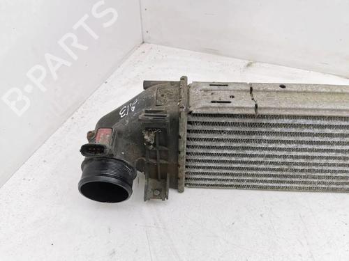 Intercooler VOLVO S80 II (124) 2.4 D | BP28887082M30 - Image 7