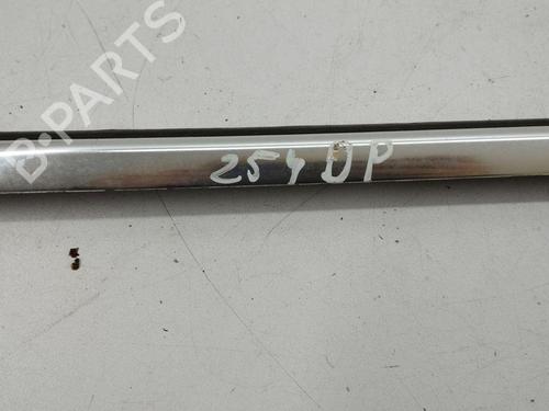 Door moulding trim FORD KUGA I 2.0 TDCi 4x4 | BP28887917C150 