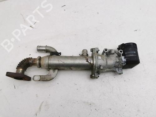 Egr Egr 38247623 38247623