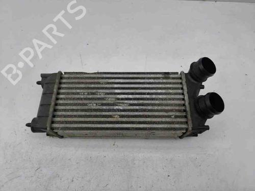 Intercooler CITROËN DS4 (NX_) 1.6 HDi 110 (112 hp) 28887739