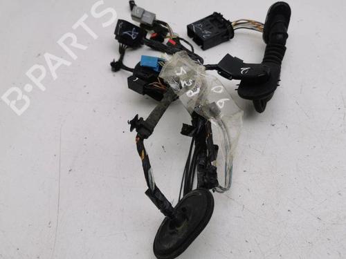 Kabelboom FORD C-MAX II (DXA/CB7, DXA/CEU) 2.0 TDCi | BP28887539E16