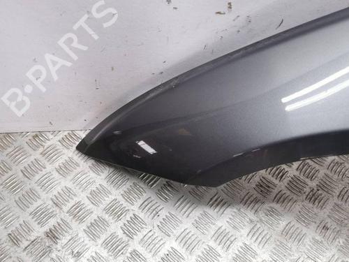 Left front fenders JAGUAR XF I (X250) 2.7 D | BP28906344C41 