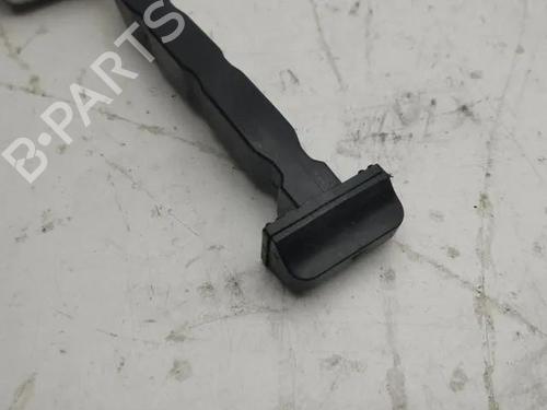 Hinge/Door check strap RENAULT MEGANE I (BA0/1_) 1.4 e (BA0E, BA0V) | BP28861625C146 