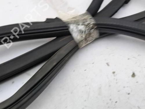 Rubber door seal TESLA MODEL S (5YJS) 60 | BP28900793C142 