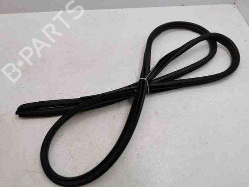 Gummiliste LEXUS NX (_Z1_) 300h AWD (AYZ15_) (155 hp) 28857006