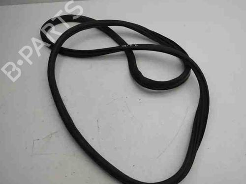 Gummilist MINI MINI COUNTRYMAN (R60) Cooper D (112 hp) 28858668