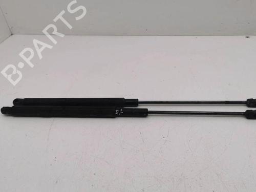 Hood lift support MERCEDES-BENZ M-CLASS (W164) ML 320 CDI 4-matic | BP28898448C139 
