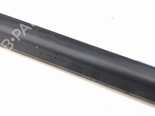 Door moulding trim KIA NIRO I (DE) E-NIRO | BP29638666C150 