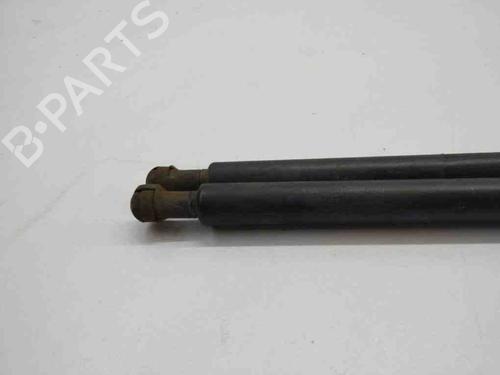 Tailgate lift support BMW X5 (E53) 3.0 d | BP28904496C138 