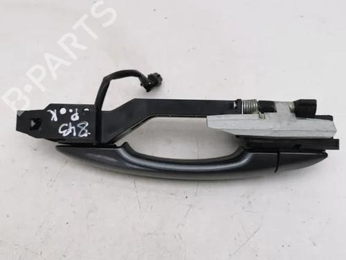 Rear left exterior door handle NISSAN JUKE (F16_) 1.6 Hybrid | BP28864908C130 
