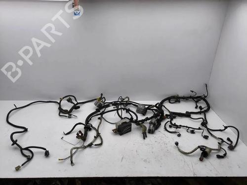 Used Wiring harness Wiring harness OPEL ANTARA A (L07) 2.2 CDTi (163 hp) 28896044 28896044