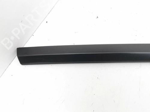 Door moulding trim TESLA MODEL 3 (5YJ3) EV | BP28901357C150 