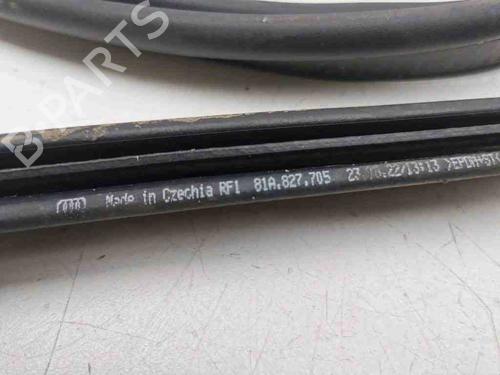 Gummiliste AUDI Q2 (GAB, GAG) 35 TFSI | BP28899864C142 