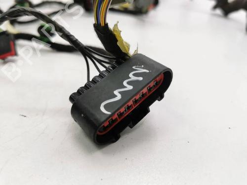 Wiring harness FORD KUGA II (DM2) 2.0 TDCi | BP33254126E16 - Image 8