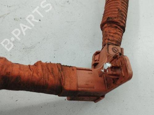 Wiring harness LEXUS NX (_Z1_) 300h AWD (AYZ15_) | BP28856991E16 