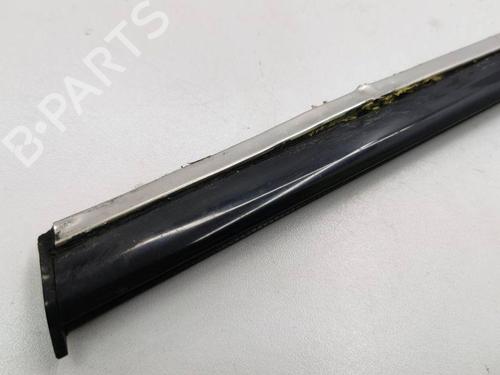 Door moulding trim MERCEDES-BENZ B-CLASS Sports Tourer (W245) B 200 TURBO (245.234) | BP28895089C150 