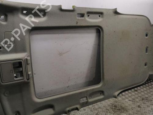 Used Interior roof NISSAN X-TRAIL II (T31) 2.0 dCi 4x4 (150 hp) 28845161