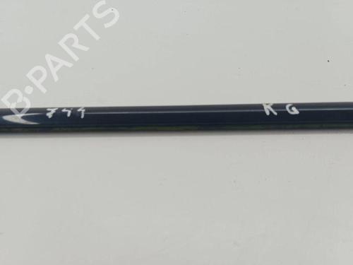 Door moulding trim BMW X5 (E70) xDrive 30 d | BP28898007C150 