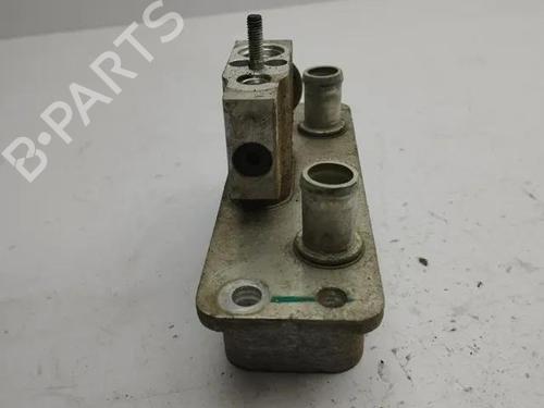 Heater matrix TESLA MODEL S (5YJS) 60 | BP28862956M63 
