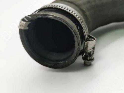 Pipe CITROËN C4 II (NC_) 1.6 HDi 110 | BP36175975M125 - Image 6
