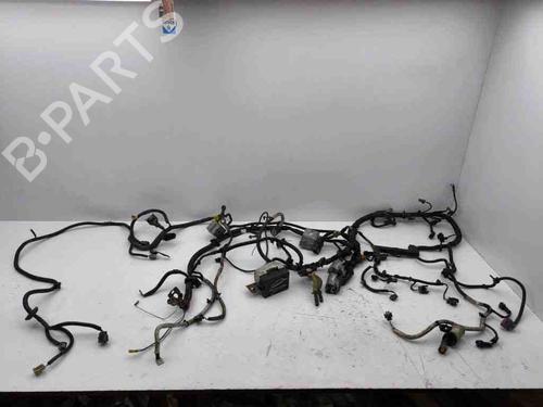 Used Wiring harness OPEL ANTARA A (L07) 2.2 CDTi (163 hp) 28896044