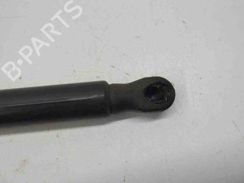 Tailgate lift support VW GOLF VIII (CD1, DA1) 1.0 TSI | BP28898316C138