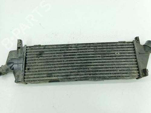 Intercooler NISSAN MICRA II (K11) 1.5 D | BP28848405M30