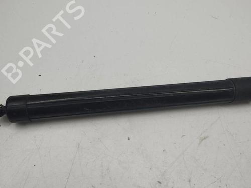 Tailgate lift support LAND ROVER RANGE ROVER EVOQUE (L538) 2.2 D 4x4 | BP28898701C138 